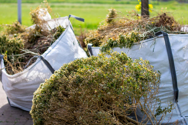 Trash Removal Near Me in Lagrange, OH