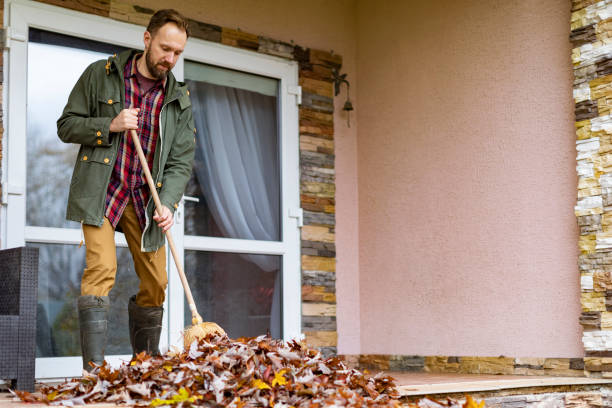 Best Trash Removal Near Me  in Lagrange, OH